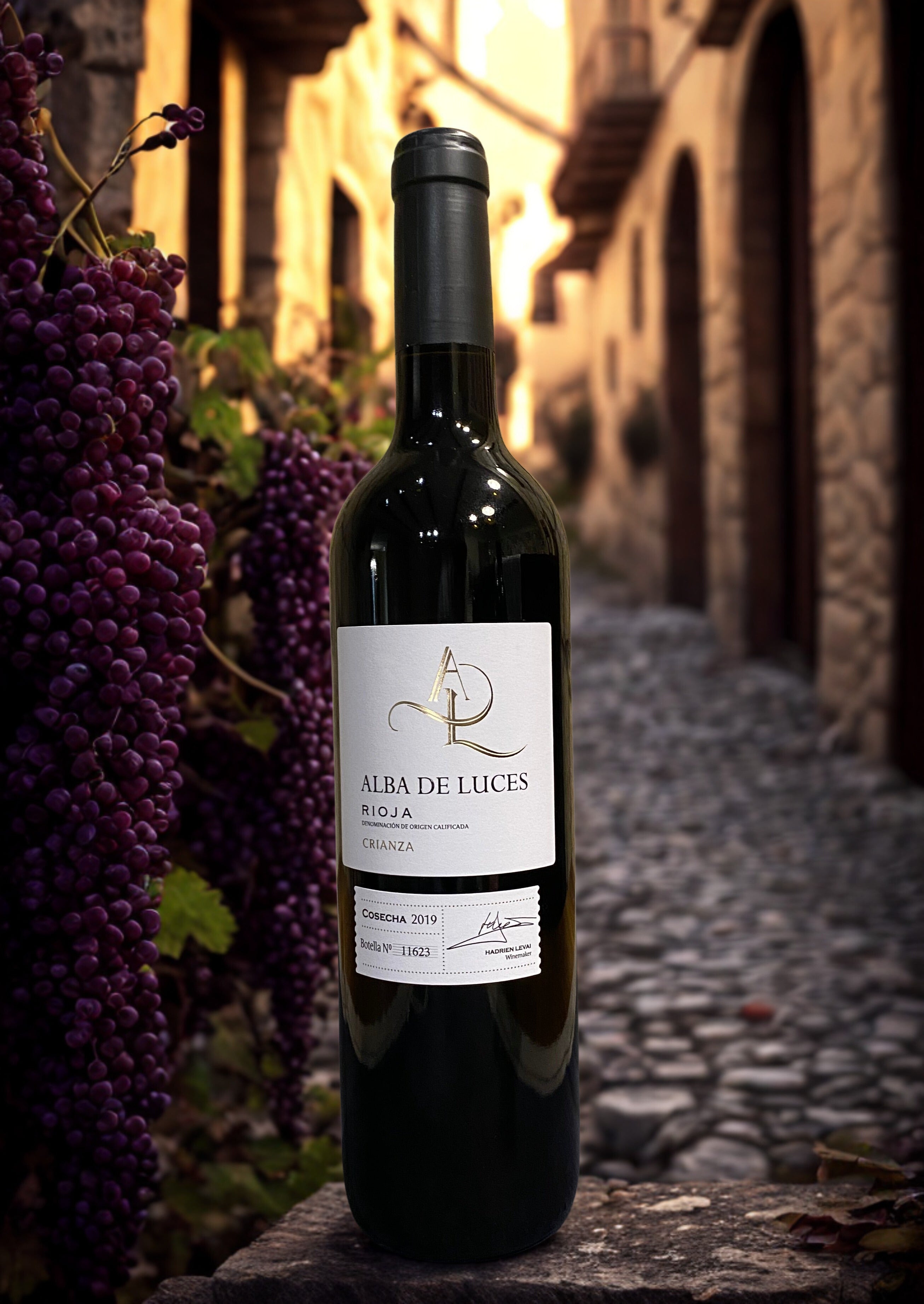 TEMPRANILLO ALBA DE LUCES RIOJA CRIANZA 2019 Castillo de Aresan