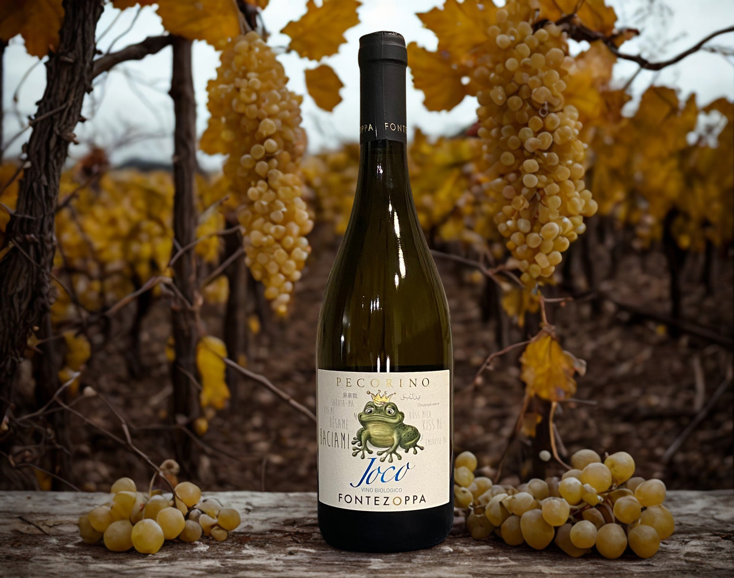 JOCO PECORINO -FONTEZOPPA