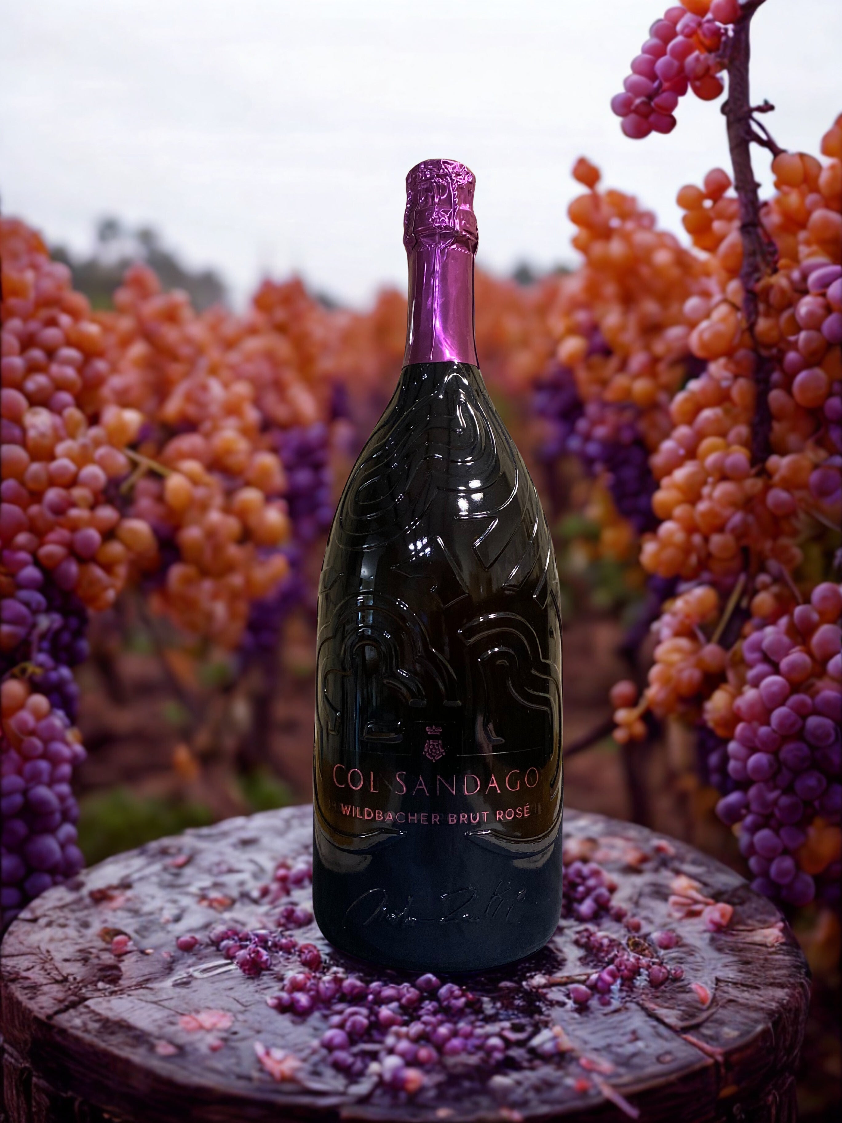 WILDBACHER BRUT ROSÉ 1,5L-COL SANDAGO Col Sandago