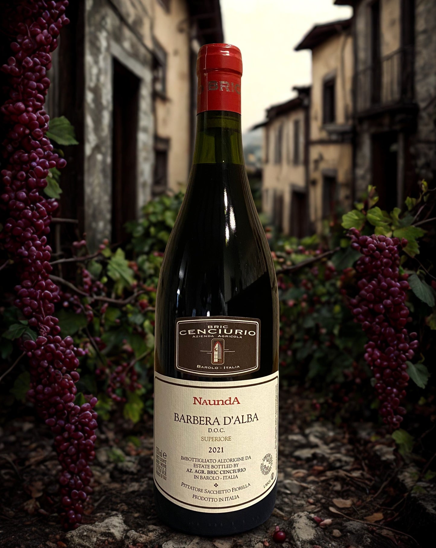 BARBERA NAUNDA D'ALBA DOC SUPERIORE 2021-BRIC CENCIURIO